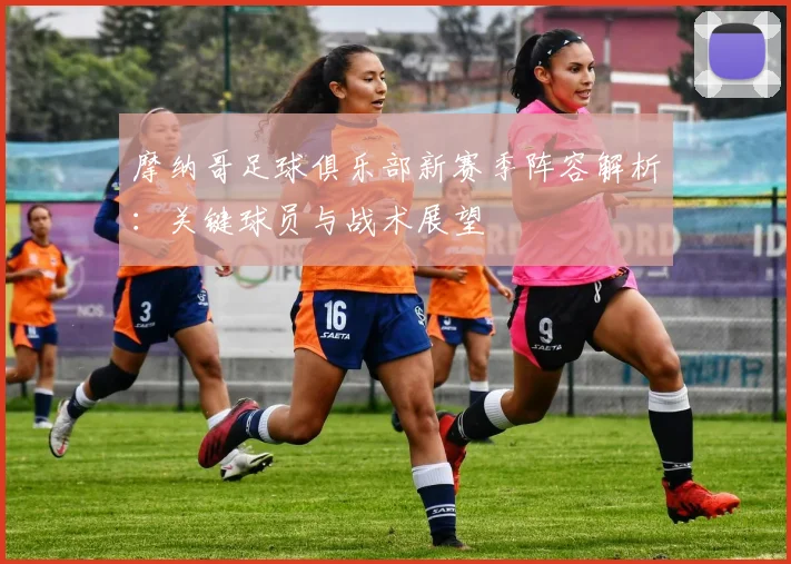 摩纳哥足球俱乐部新赛季阵容解析：关键球员与战术展望